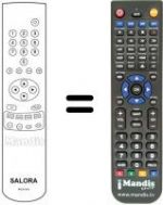 Télécommande équivalente RCN621