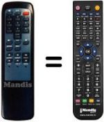 Télécommande équivalente 300 TS 011