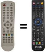 Télécommande équivalente Telesystem 23' YOUNG