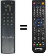 Télécommande équivalente RC9076-00B