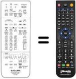 Télécommande équivalente RC9900