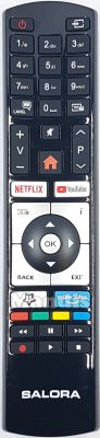 Télécommande d'origine SALORA RC4318P (23728363)