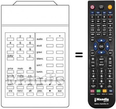 Télécommande équivalente 210 1001-10