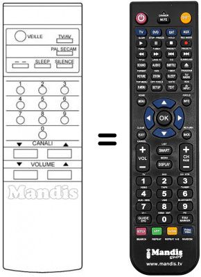 Télécommande équivalente 55 TLC