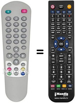 Télécommande équivalente Zodiac DZR 1DTT