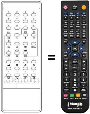 Télécommande équivalente 2031 M
